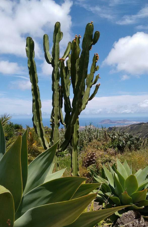 *****Finca Bella Vista Arucas Eksteriør billede