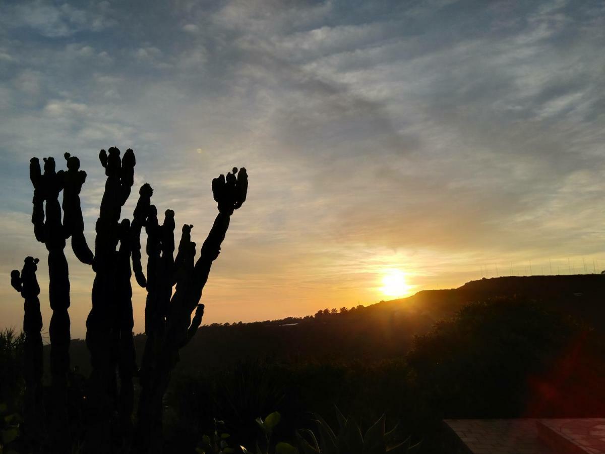 *****Finca Bella Vista Arucas Eksteriør billede